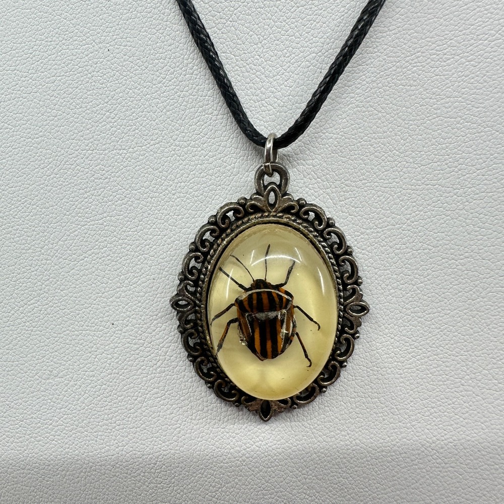 Insect Specimen Pendant Necklace Gothic Curiosity Oddity Cameo Black Cord Gift